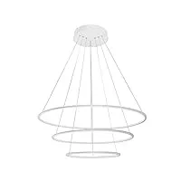 lampe suspendue moderne xxl avec anneaux à led, blanc chaud, 80 cm