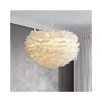 loonju suspendue led plume blanche romantique suspension pour chambre salon accrocher les lumières plumes d'oie suspension luminaire, blanc chaud, dia.50cm