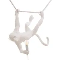 the monkey lamp swing