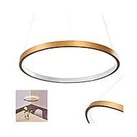 suspension led canisteo en métal doré, lampe pendante moderne à hauteur réglable, max. 123 cm, anneau lumineux de 39 cm de diamètre, 22 watt, 2185 lumen, 3000 kelvin (blanc chaud)