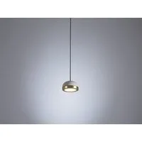 molly | suspension led