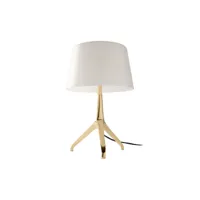 lampe de table en acier doré et verre