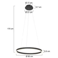 steinhauer suspension led ringlux, ø 60 cm, à 2 lampes, noire