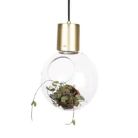 globen lighting lampe à suspension mini hole transparent-laiton